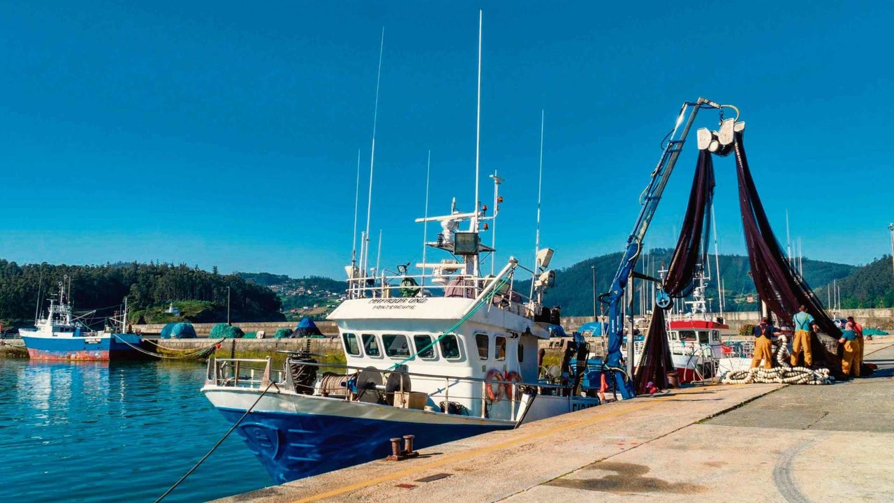 Descarga de peixe no porto de Cedeira (Foto: Antonio).