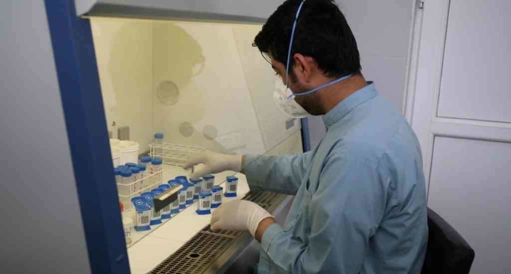 Un laboratorio traballando con medicamentos vinculados á tuberculose. (Foto: Nós Diario)