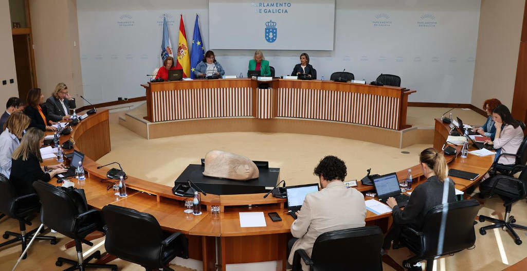 Comisión de sanidade e política social do Parlamento (Foto: Parlamento da Galiza).