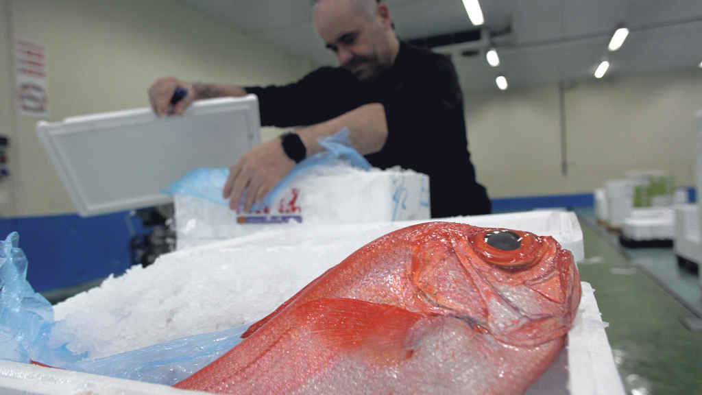O ano pasado chegou ás lonxas galegas (na imaxe, a de Burela) a menor cantidade de peixe e marisco en case dúas décadas. (Foto: Carlos Castro / Europa Press)