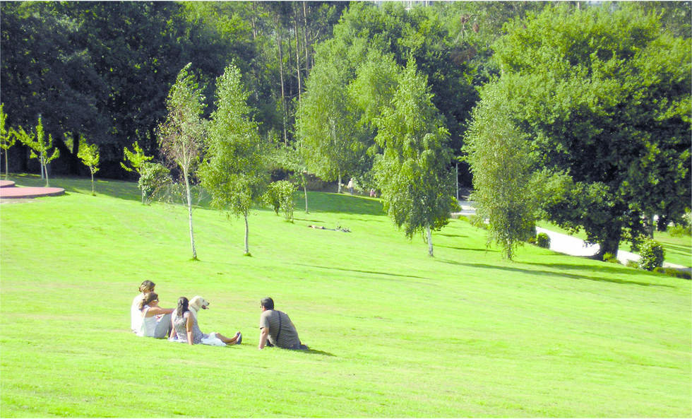 parque restolla saltianfo zona verde