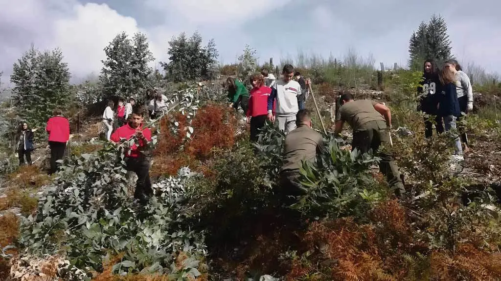 Alumnado do IES Ponte Candelas traballa no monte veci&ntilde;al cada mes de novembro. (Foto: N&oacute;s Diario).