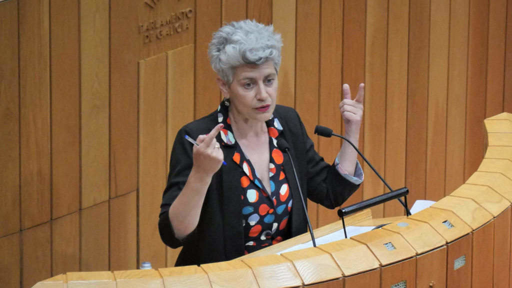 A deputada do BNG, Mercedes Queixas, esta terza feira no Parlamento da Galiza. (Foto: Nós Diario)