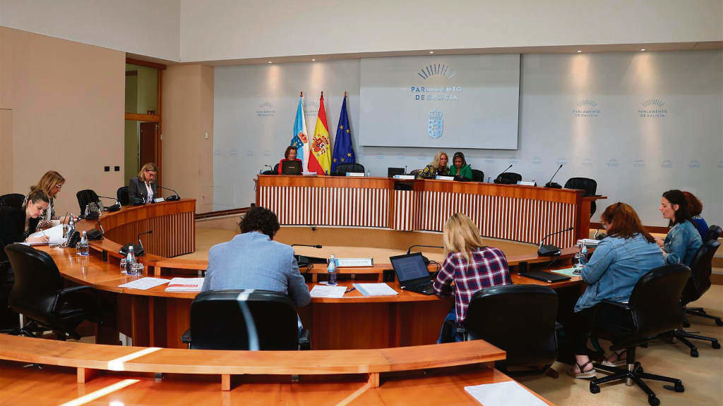 Sesión da comisión de sanidade do Parlamento, esta quinta feira. (Foto: Parlamento da Galiza)