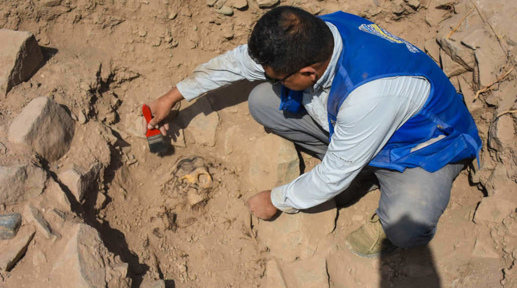 Un arqueólogo traballa no sitio arqueolóxico do Rímac (Foto: Municipalidad Distrital do Rímac)
