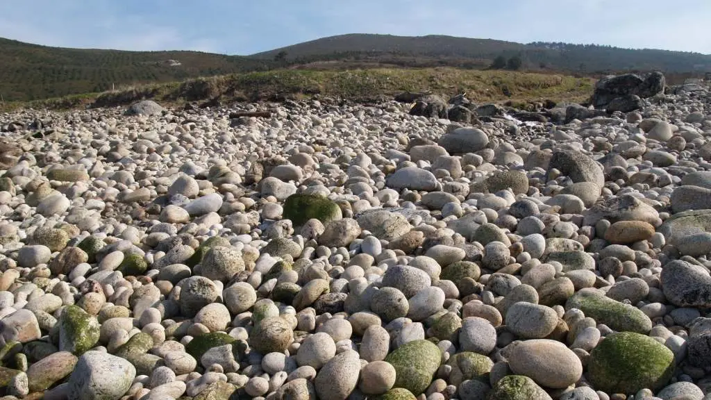 Co&iacute;do de Cu&ntilde;o.