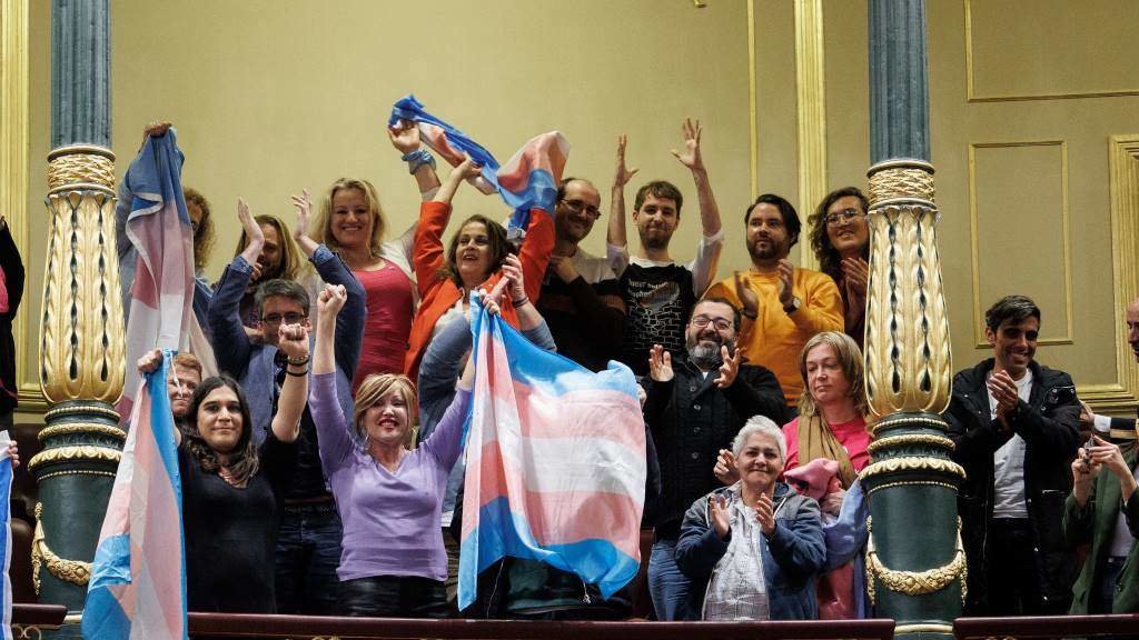 Representantes do movemento en defensa dos dereitos LGBTI celebran a aprobación no Congreso da 'Lei trans' e a do aborto, o pasado 16 de febreiro. (Foto: Alejandro Martínez Vélez / Europa Press)