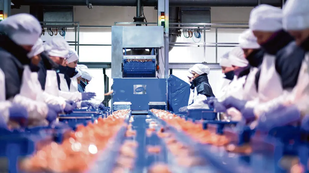 Traballadoras da industria conserveira da Galiza (Foto: N&oacute;s Diario).