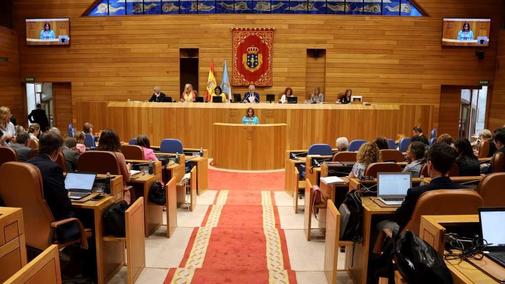 A deputada popular Carmen María Pomar foi a encargada de presentar o ditame da comisión parlamentaria que aprobou a lei. (Foto: Parlamento da Galiza)