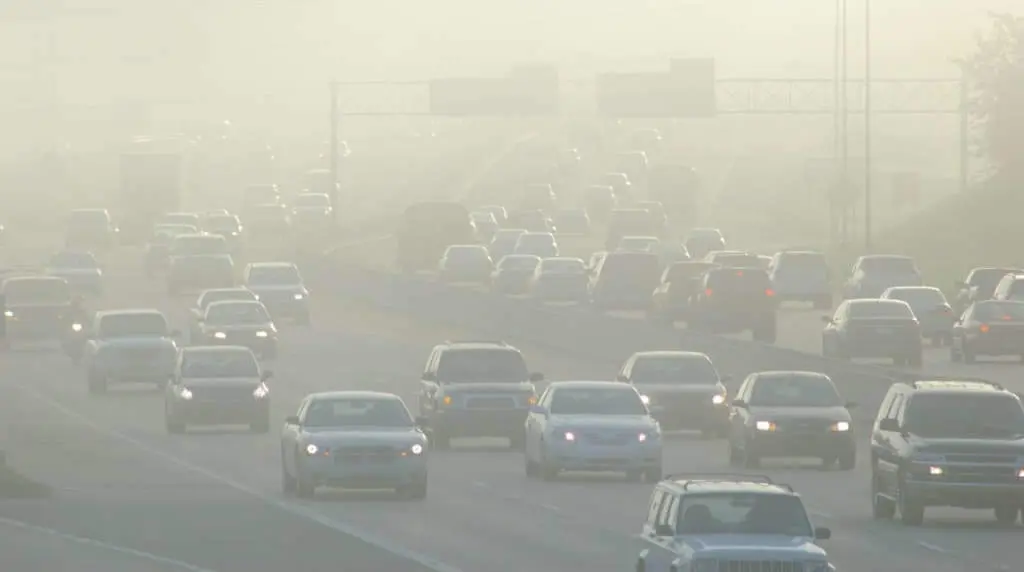 A contaminaci&oacute;n &eacute; un factor de risco moi importante para as crianzas europeas (Foto: Europa Press).