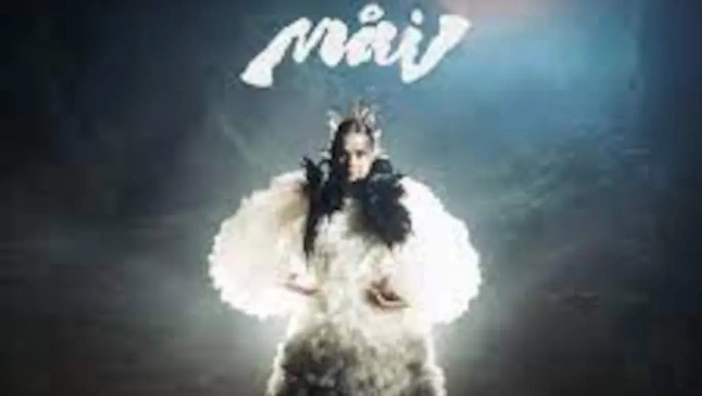 Capa de 'Nigredo'.