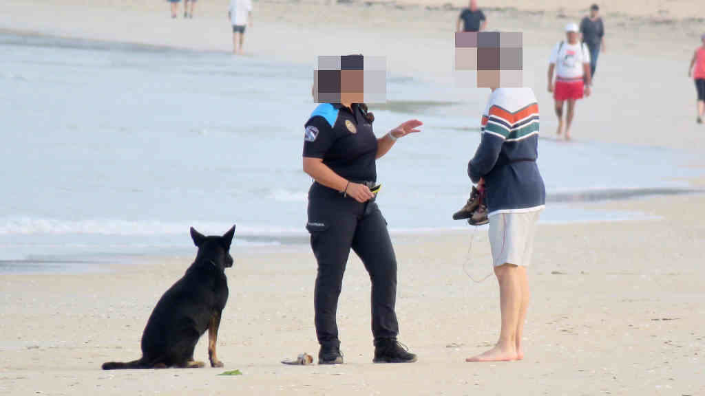 A Policía Local do Grove tivo que intervir para que unha persoa retirara o seu can da praia da Lanzada (Foto: SEO BirdLife).