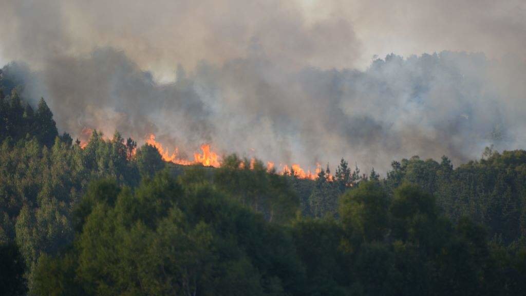 Incendio en Vilalba. (Foto: Gustavo de la Paz / Europa Press)