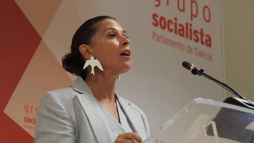 A deputada do PsdeG no Parlamento da Galiza Leticia Galego. (Foto: N&oacute;s Diario)