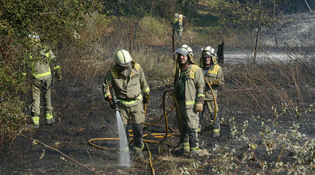Bombeiros forestais nunha imaxe de arquivo (Foto: Rosa Veiga / Europa Press).