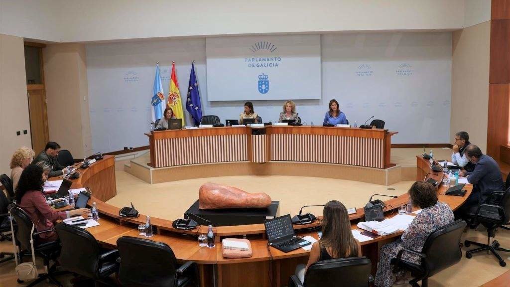 Comisión Institucional do Parlamento da Galiza, esta mañá. (Foto: Europa Press)