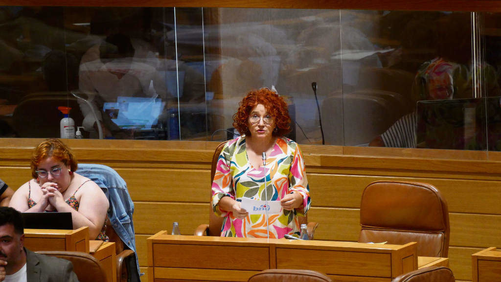 Montse Prado, portavoz de sanidade do BNG no Parlamento. (Foto: Europa Press)