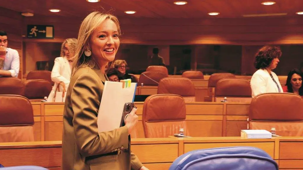 A conselleira de Pol&iacute;tica Social, Fabiola Garc&iacute;a, no Parlamento galego. (Foto: Arxina)