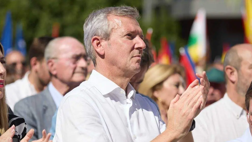 Aplausos de Alfonso Rueda na manifestaci&oacute;n deste pasado domingo en Madrid contra a amnist&iacute;a convocada polo PP. (Foto: Jes&uacute;s Hell&iacute;n / Europa Press)