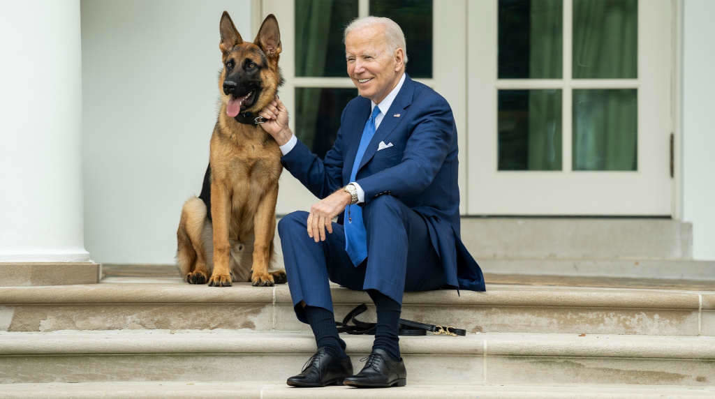 Joe Biden co seu can, Commander (Foto: President Joe Biden / APA Images v / DPA).