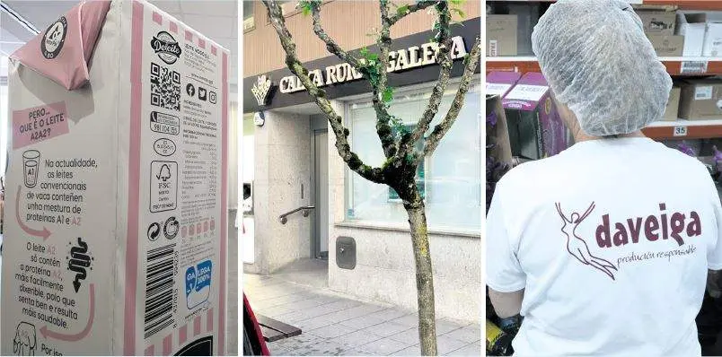 Deleite, Caixa Rural Galega e Daveiga traballan e comunican en galego. (Fotos: Arxina | N&oacute;s Diario)