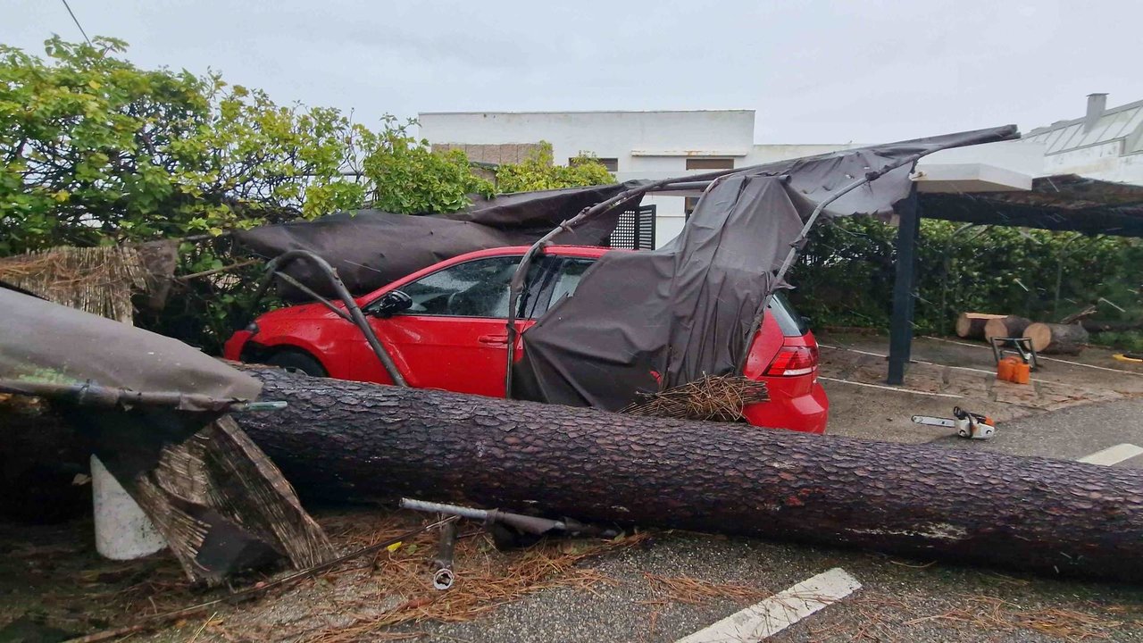 Árbora caída xunto a un vehículo, esta quinta feira en Vigo (Foto: Javier Vázquez / Europa Press).