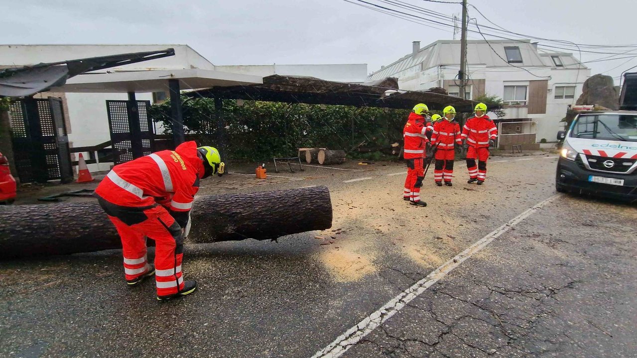 Varios bombeiros traballan para retirar unha árbore da estrada en Vigo (Foto: Javier Vázquez / Europa Press).