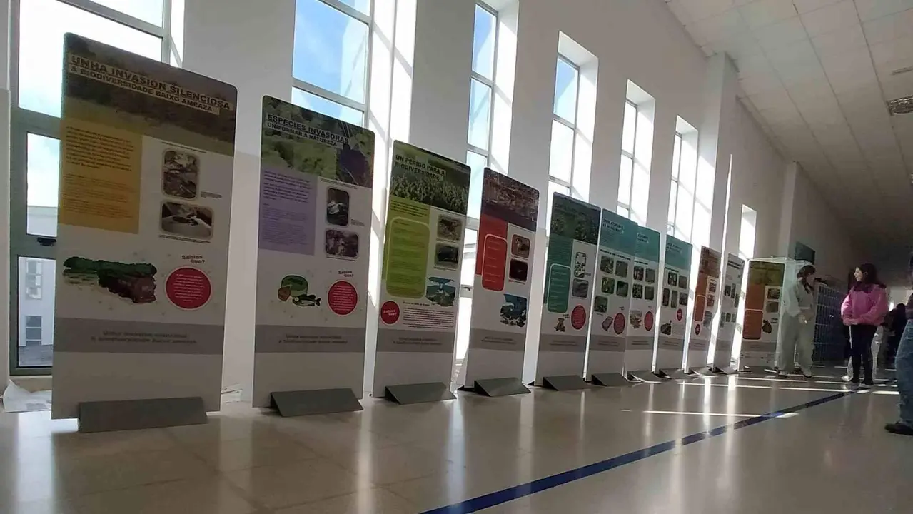 Imaxe da exposici&oacute;n