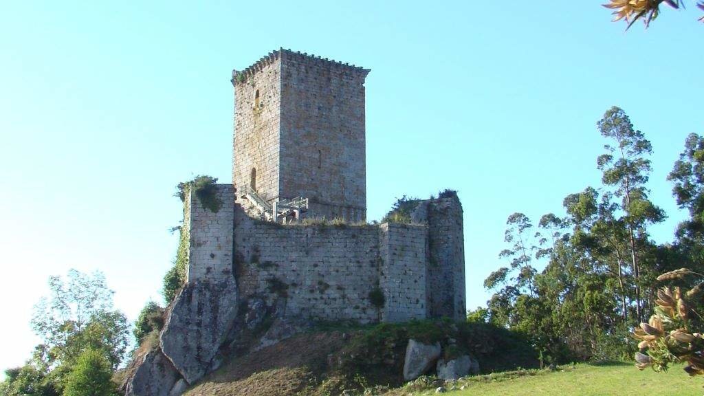 Vista xeral do castelo de Nogueirosa. (Foto: Héitor Picallo)