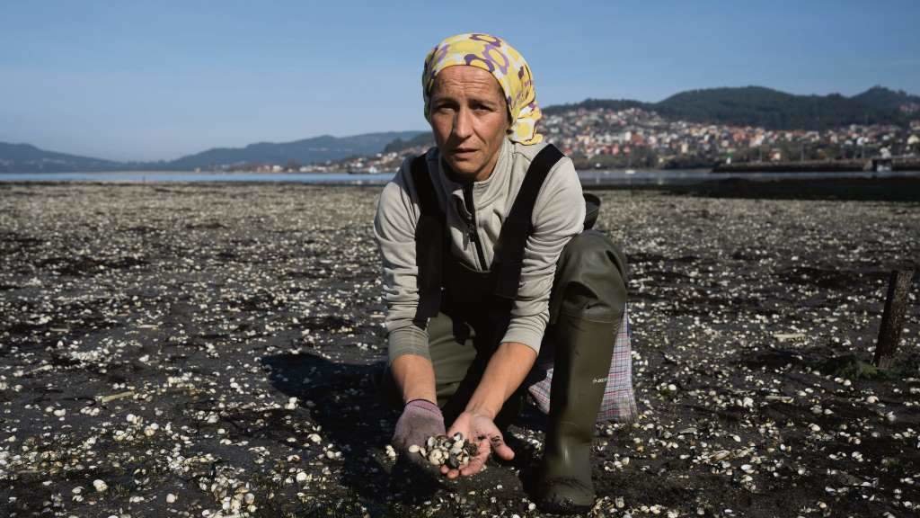 Unha mariscadora sostén nas súas mans cría de bivalvos mortos, o pasado 17 de novembro. (Foto: Adrián Irago / Europa Press)