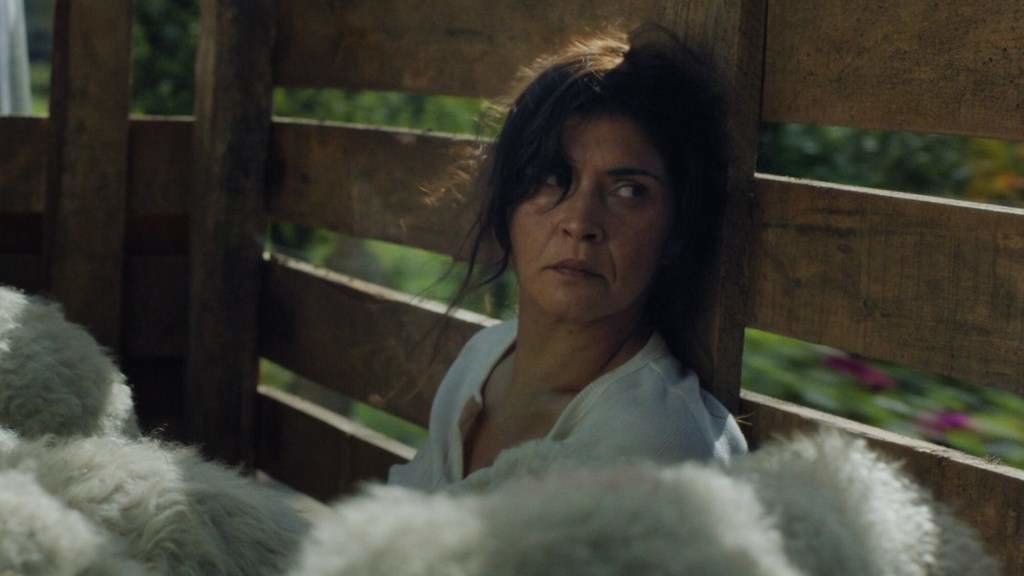 Fotograma do filme 'O Corno', de Jaione Camborda. (Foto: Esnatu Zinema)