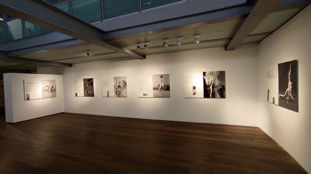 A exposición 'Xela Arias. A poesía do retrato' xuntaba textos poéticos da autora cos retratos realizados polo fotógrafo Xulio Gil'.