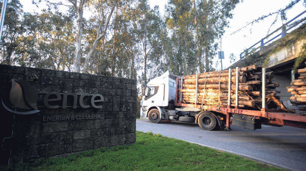 Un camión con madeira chega ao complexo industrial de Ence na ría de Pontevedra (Foto: Gustavo de la Paz / Europa Press).