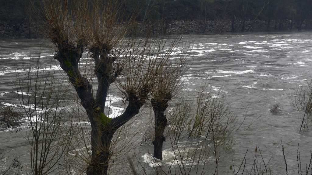 O río Miño ao seu paso por Ourense. (Foto: Rosa Veiga / Europa Press)
