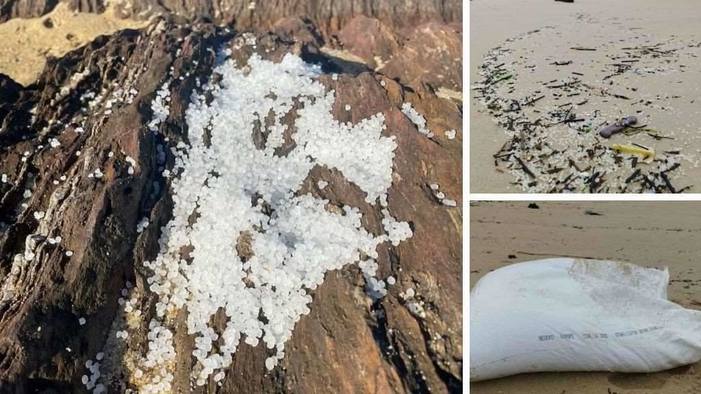 Sacos e pellets atopados nunha praia de Muros. (Fotos: Noia Limpa)