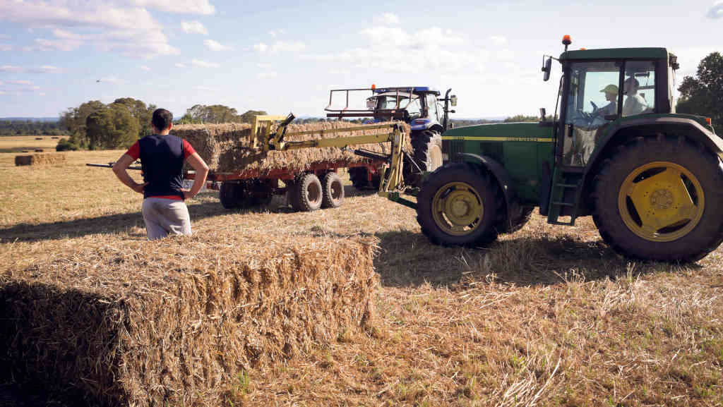 A evoluçom do rendimento agrário galego ao longo das últimas décadas mostra a necessidade de mudar as políticas agrárias (Carlos Castro / Europa Press).