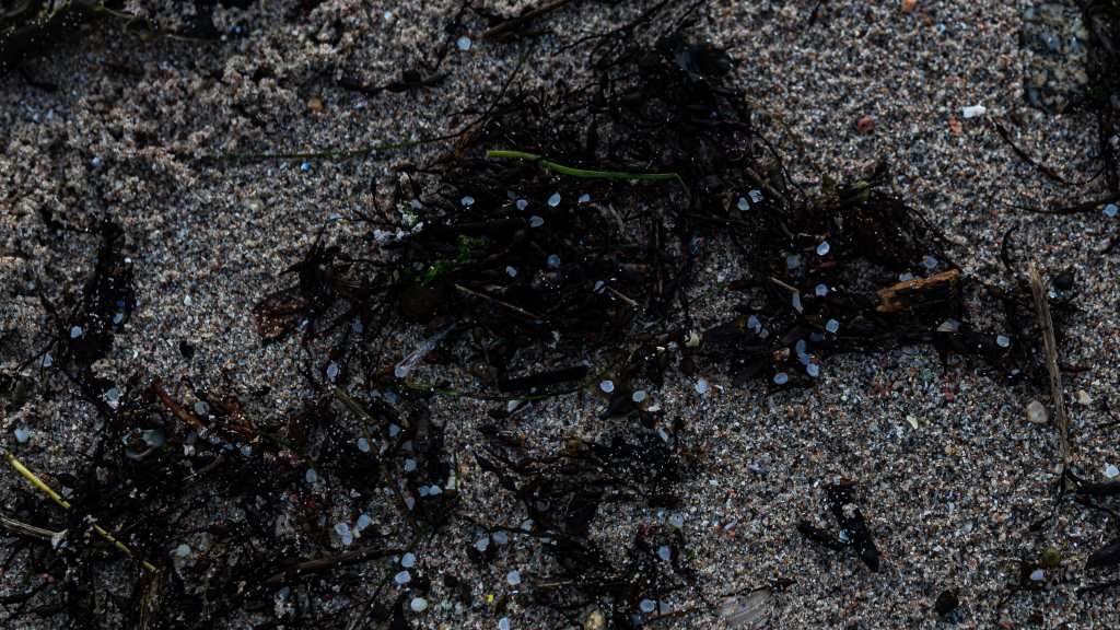 Pellets de plástico esparexidos por unha praia da Illa de Arousa. (Foto: Elena Fernández / Europa Press)
