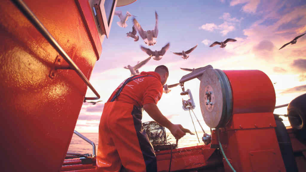 En 2009, 80% dos 4.853 buques pesqueiros galegos faenaban no caladoiro máis próximo á costa galega, o Cantábrico-Noroeste (Foto: Carlos Castro / Europa Press).