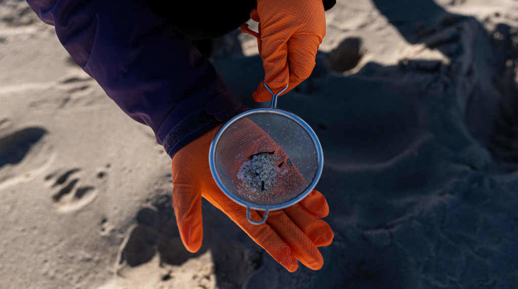 Recollida de pellets nunha praia da Coruña (Foto: Elena Fernández / Europa Press).