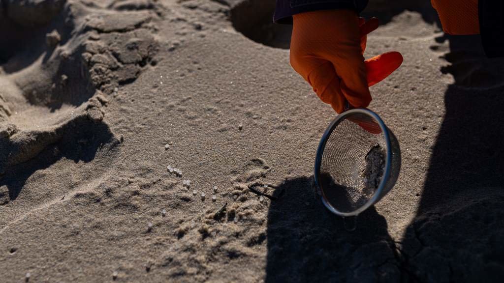 Unha voluntaria recollendo pellets de plástico nunha praia da Coruña. (Foto: Elena Fernández / Europa Press)
