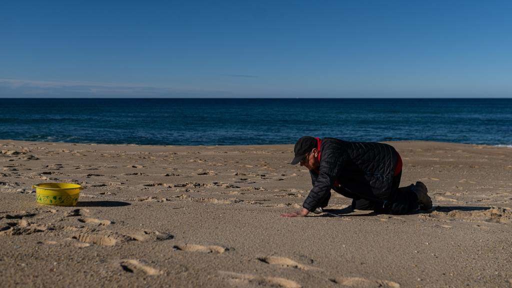 Un home buscando pellets nun areal da Coruña. (Foto: Elena Fernández / Europa Press)
