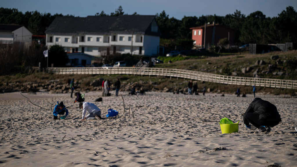Persoas voluntarias limpan de pellets unha praia da Coruña (Foto: Elena Fernández / Europa Press).