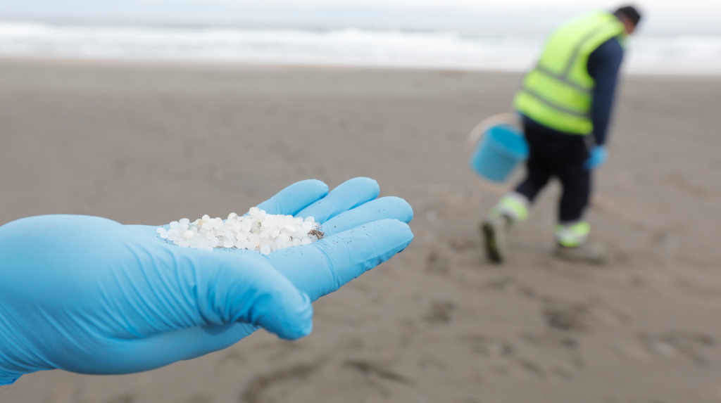 Recollida de pellets nunha praia asturiana (Foto: Jorge Peteiro / Europa Press).
