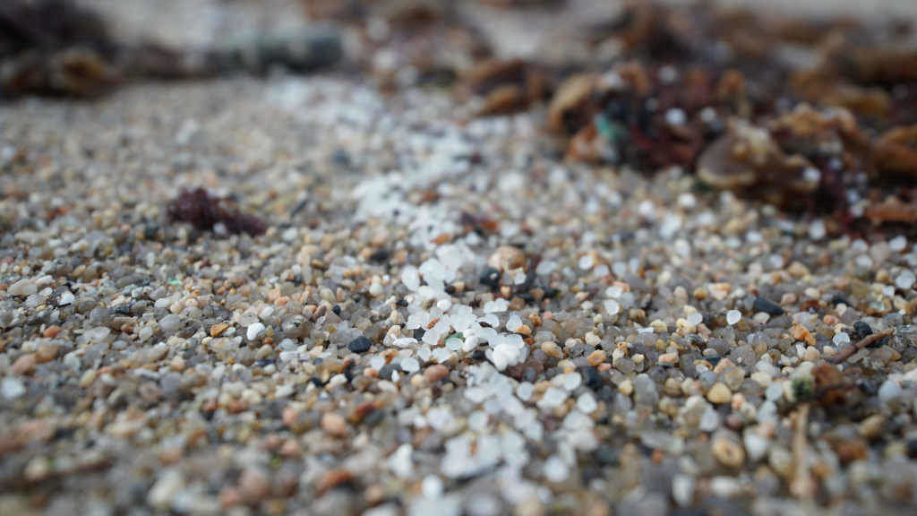 Pellets de plástico nunha praia da Coruña (Foto: Gustavo de la Paz / Europa Press).