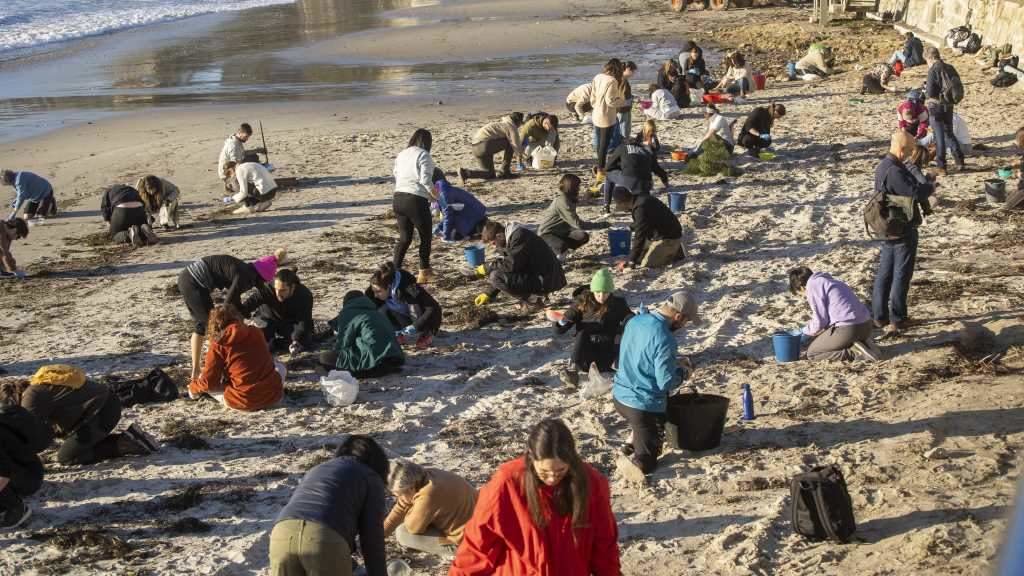 Voluntarios recollendo pellets hoxe na praia de Panxón, en Nigrán. (Foto: recomenda o uso de "lentes de protección en caso de utilizar equipos mecánicos e bolsas de lixo xeral". (Foto: Javier Vázquez / Europa Press)