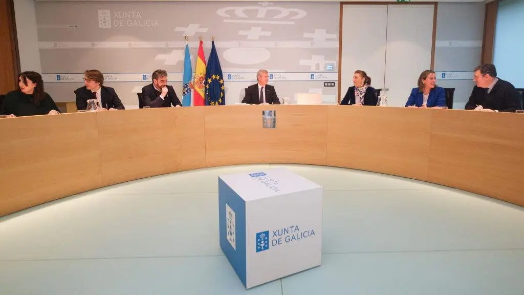Alfonso Rueda preside o Consello da Xunta. (Foto: David Cabez&oacute;n / Xunta da Galiza).