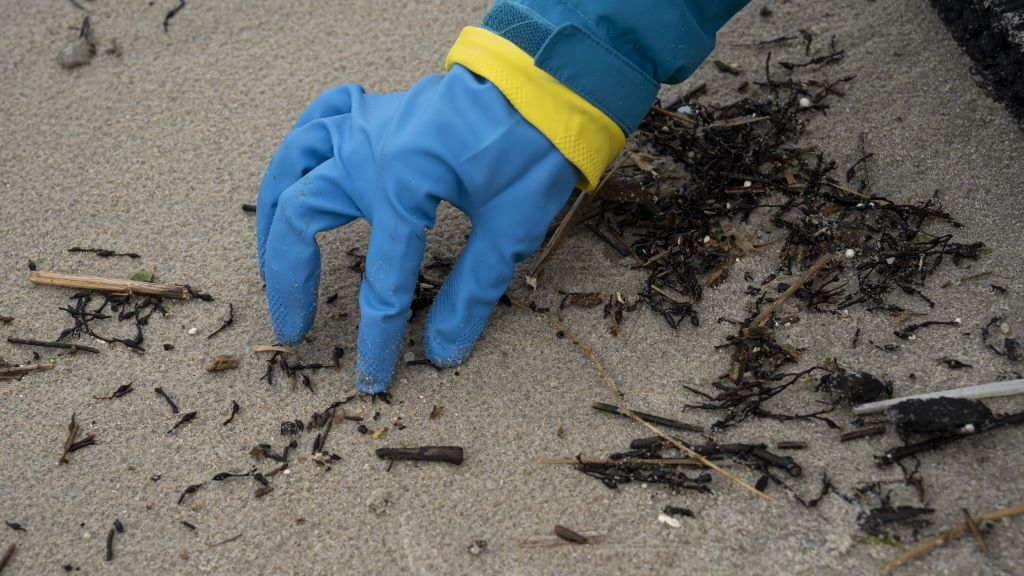 Limpeza e recollida de pellets na praia de Patos, en Nigrán (comarca de Vigo), o 15 de xaneiro. (Foto: Adrián Irago / Europa Press).