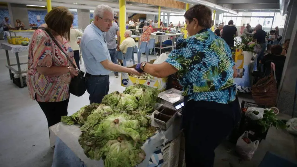 O gran potencial da Galiza &eacute; producir alimentos de calidade e saudables para o conxunto da poboaci&oacute;n. (Foto: Carlos Castro / N&oacute;s Diario).