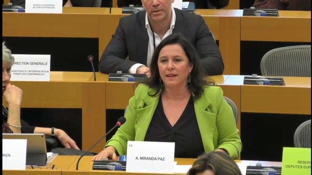 A eurodeputada Ana Miranda, intervindo hoxe na comisión de peticións do Parlamento europeo. (Foto: Nós Diario)