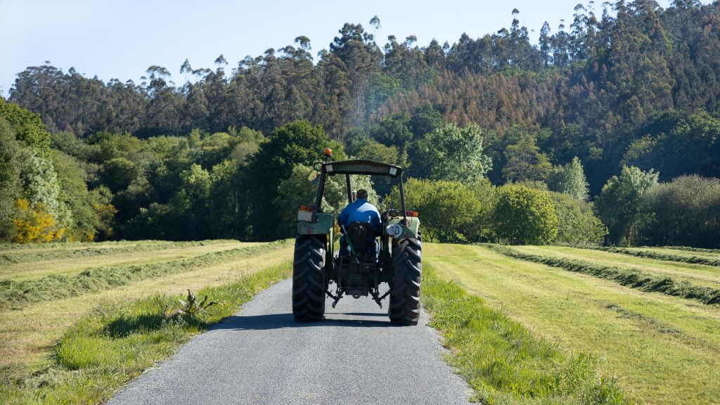 Un tractor avanza por unha estrada situada entre dúas leiras dedicadas a pasto e forraxe. (Foto: Nós Diario).